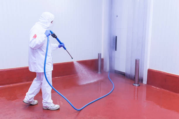 Best Building Exterior Pressure Washing in Park Rapids, MN